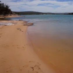 Murchison River - Northampton