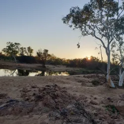 Murchison River - Northampton