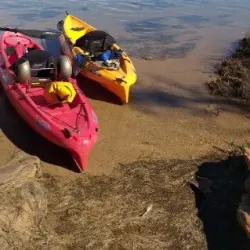 Murchison River - Northampton