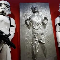 Northampton Museum - Northampton