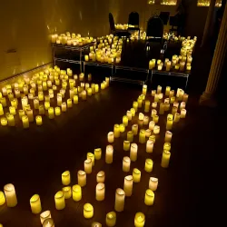 Northampton Museum - Northampton