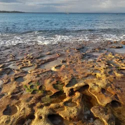 Jervis Bay Marine Park - Nowra NSW