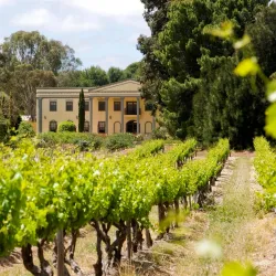 Barossa Chateau - Nuriootpa