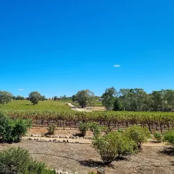 Barossa Chateau - Nuriootpa