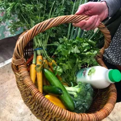 Barossa Farmers Market - Nuriootpa