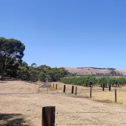 Barossa Valley Way - Nuriootpa