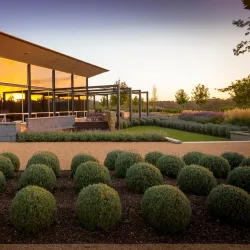 Barossa Valley Wine Region - Nuriootpa