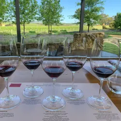 Barossa Valley Wine Region - Nuriootpa