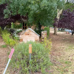 Heritage Walk Nuriootpa - Nuriootpa