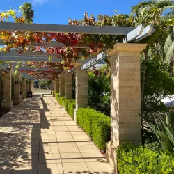 Seppeltsfield Winery - Nuriootpa