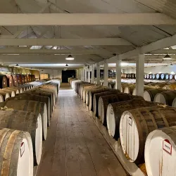 Seppeltsfield Winery - Nuriootpa