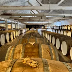 Seppeltsfield Winery - Nuriootpa