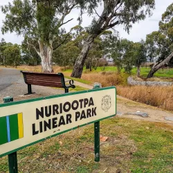 Tanunda Creek Walking Trail - Nuriootpa
