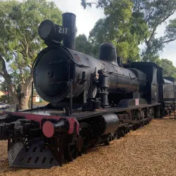 Tanunda Creek Walking Trail - Nuriootpa