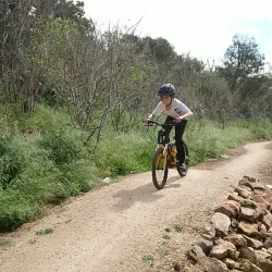 The Barossa Adventure Trail - Nuriootpa