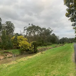 Dandenong Creek Trail - Oakleigh East
