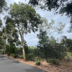 Huntingdale Golf Club - Oakleigh East