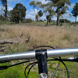 Boree Creek Reserve - Orange