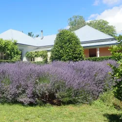 Boree Creek Reserve - Orange