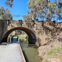 Boree Creek Reserve - Orange