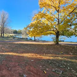 Lake Canobolas - Orange