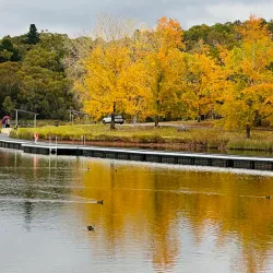 Lake Canobolas - Orange