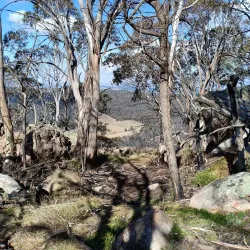 Mount Canobolas - Orange