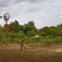 Orange Botanic Gardens - Orange