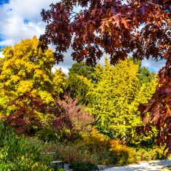 Orange Botanic Gardens - Orange