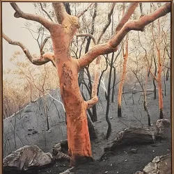 Orange Regional Gallery - Orange