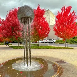 Orange Regional Gallery - Orange