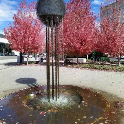 Orange Regional Museum - Orange