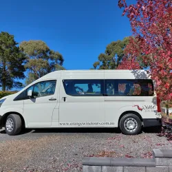 Orange Wine Region - Orange