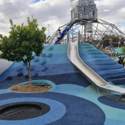 Booran Reserve - Ormond