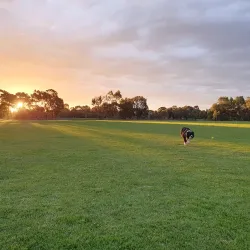 Elsternwick Park - Ormond