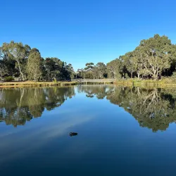 Elsternwick Park - Ormond