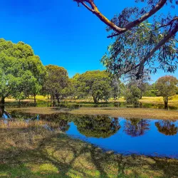Elsternwick Park - Ormond