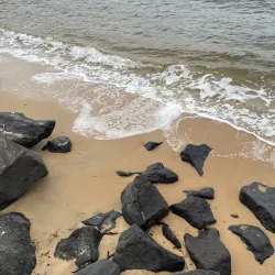 Elwood Beach - Ormond