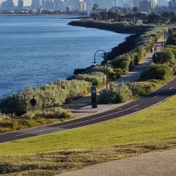 Hawksburn Reserve - Ormond