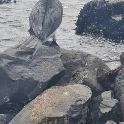 Hawksburn Reserve - Ormond