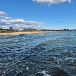 Hawksburn Reserve - Ormond