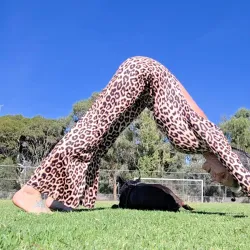 Ormond Park - Ormond