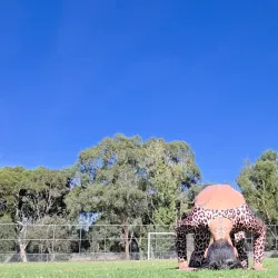 Ormond Park - Ormond