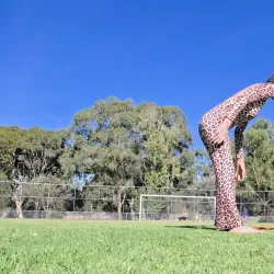 Ormond Park - Ormond