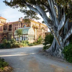 Rippon Lea Estate - Ormond