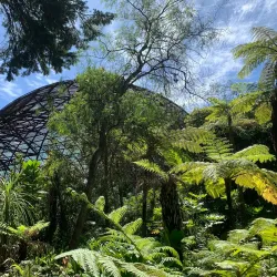 Rippon Lea Estate - Ormond