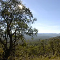 Bunyip State Park - Pakenham