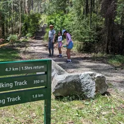 Bunyip State Park - Pakenham