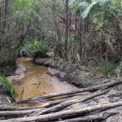 Bunyip State Park - Pakenham
