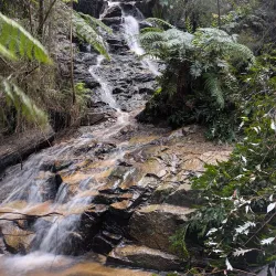 Bunyip State Park - Pakenham